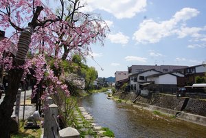 Takayama spring