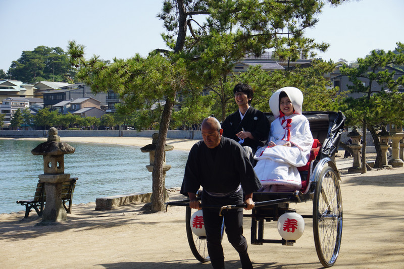 Newlywed arriving at the shrine