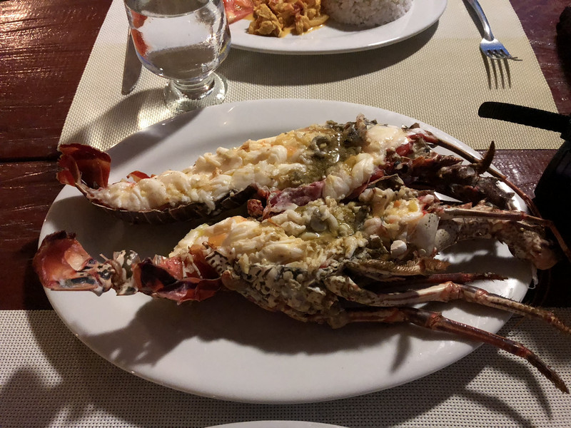 a fresh lobster for dinner