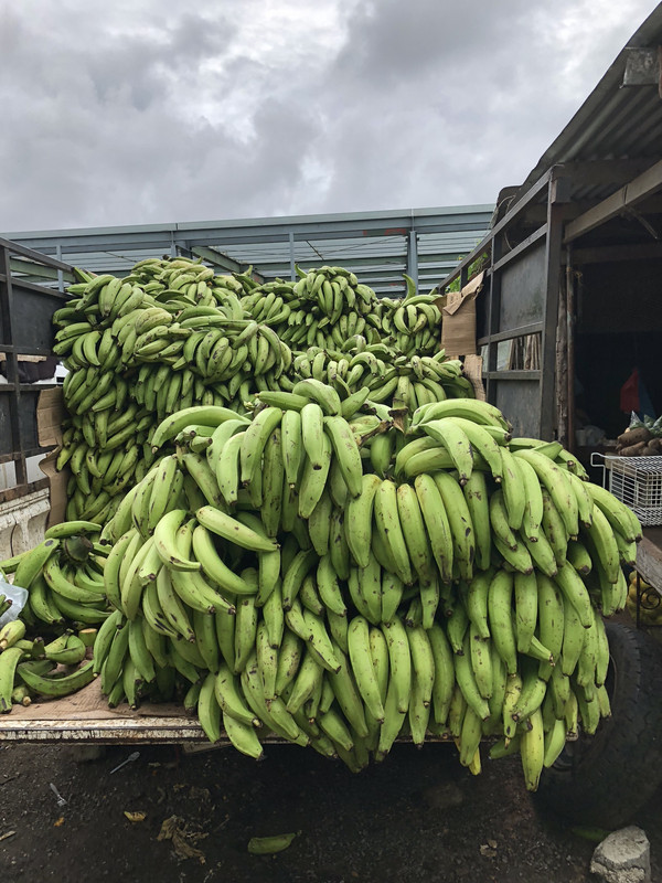 Truckload of plantains