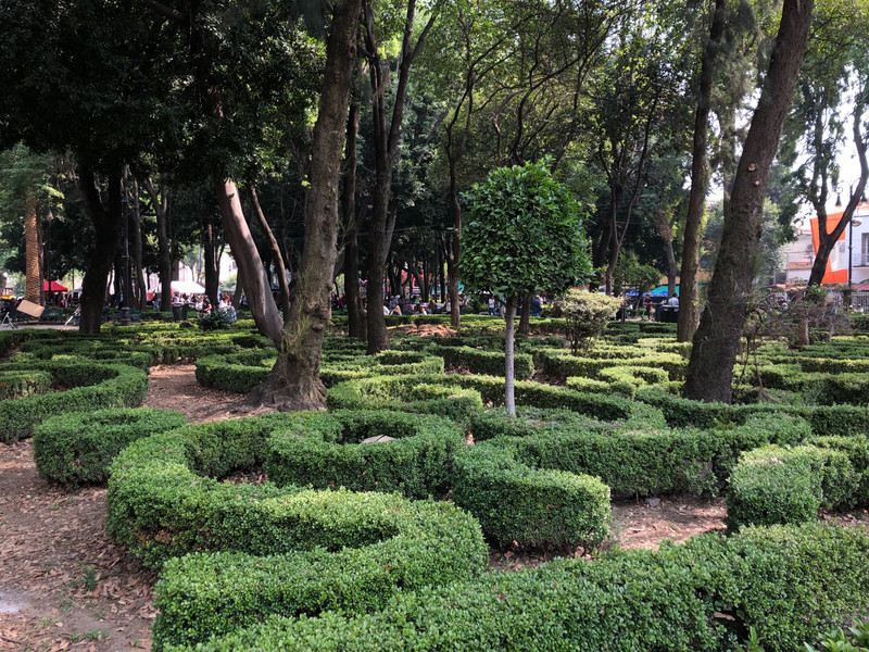 Hedges in the park