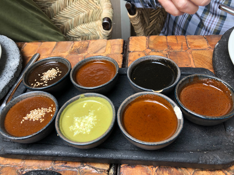Seven different mole sauces