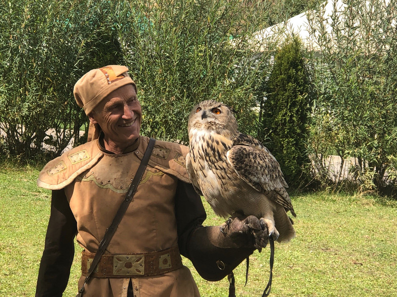 Falconry with an owl