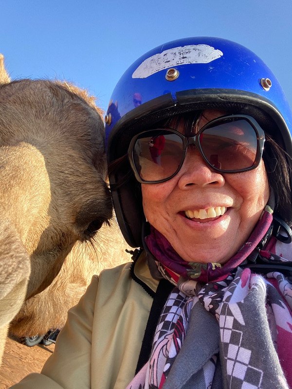 Photo bombed by a camel