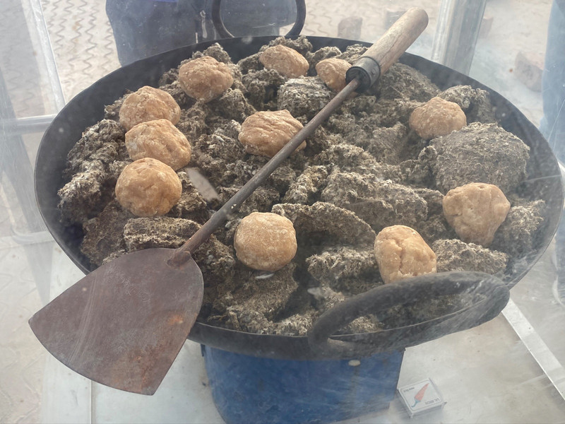 Boiling cotton seeds for cow feed