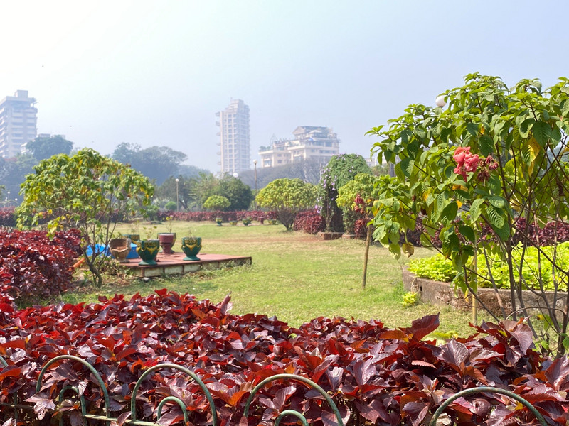 Mumbai does have some green space 