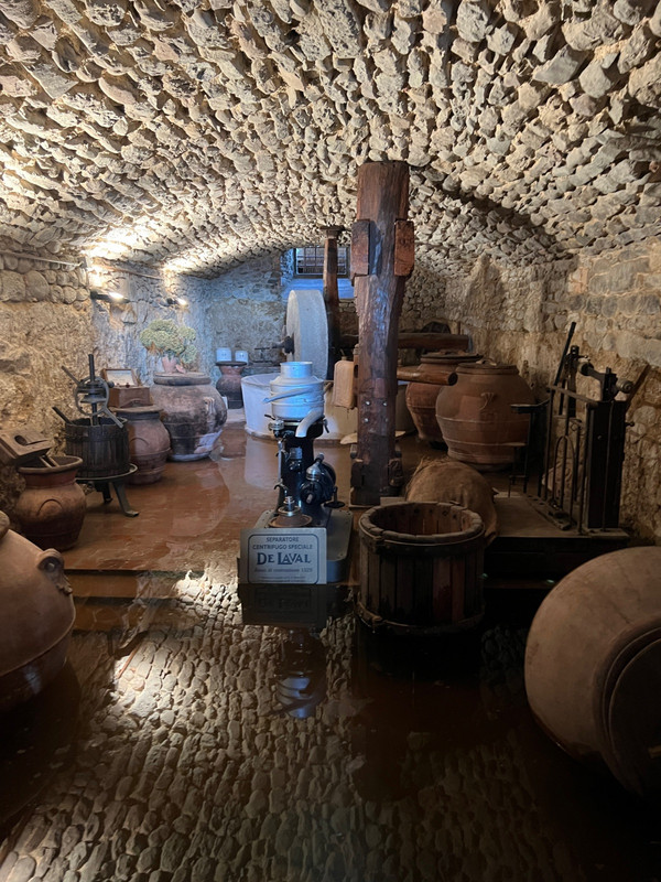 An old olive oil processing museum