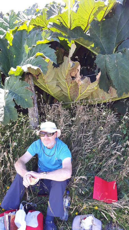 Pete and a rhubarb plant - not to be confused with a penguin