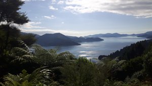 The beautiful Queen Charlotte track