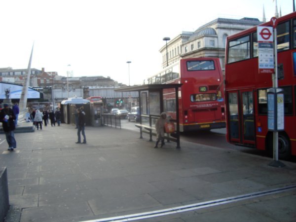The buses