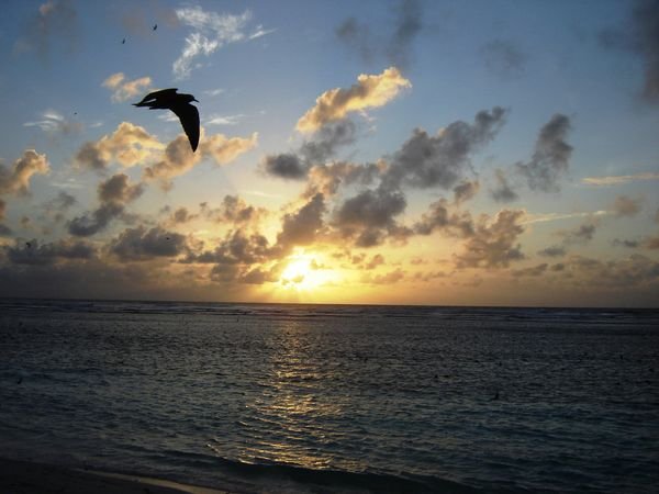 Sunset on Bird Island