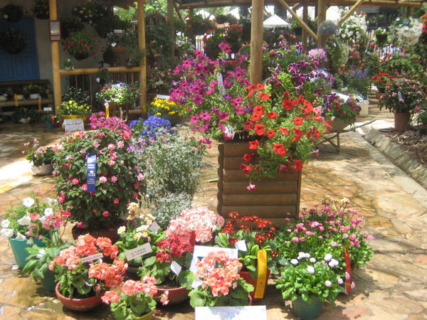 botanical flower garden