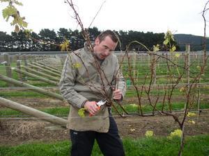 Dave's 'how to prune'