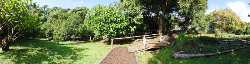 Partial view of Garden