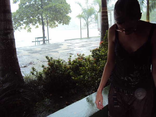 The Rain at Puerto Jimenez