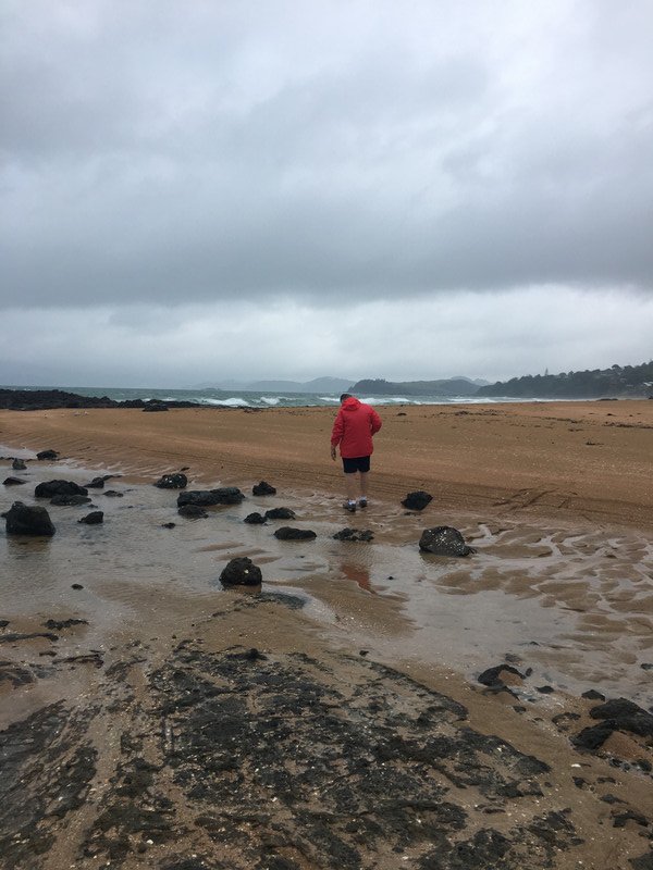 After the storm, Moira beach combing for paua 