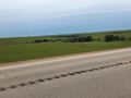 Another view of the Kansas prairie.
