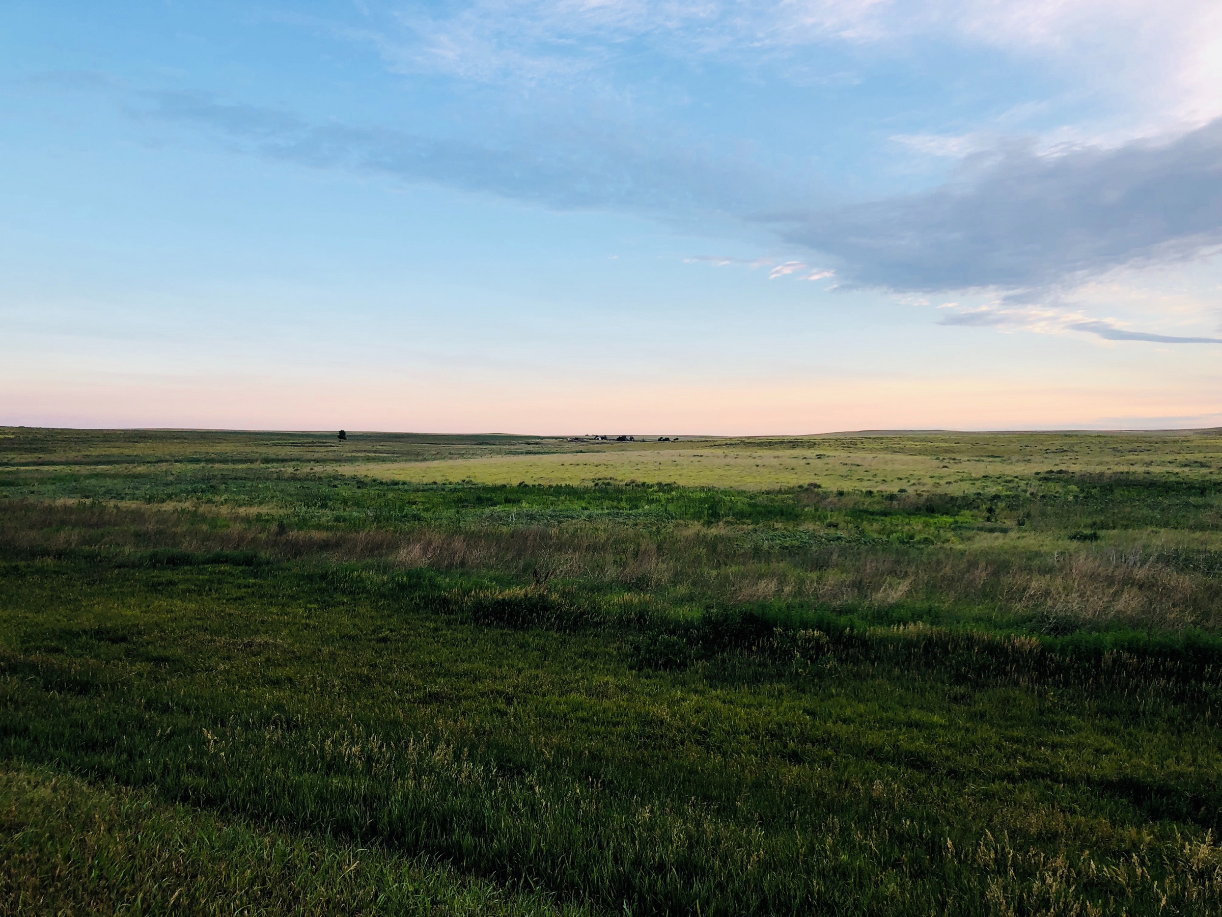 Nothing but grass as far as the eye can see. | Photo