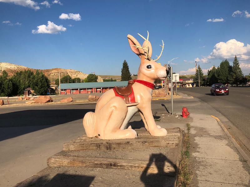 There really is a Jackalope!