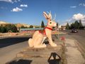 There really is a Jackalope!
