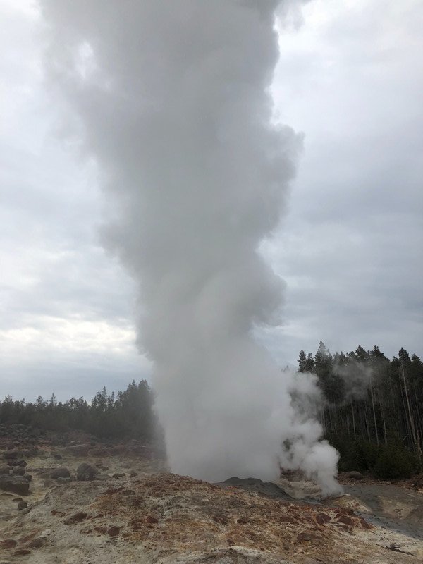 Steamboat geyser only erupts a couple times a month.