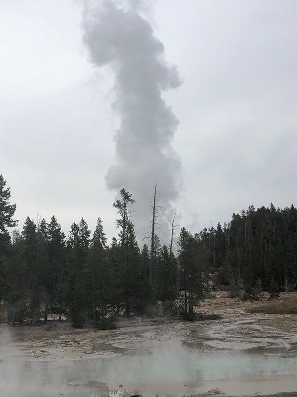 Another look at Steamboat geyser.