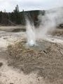 Another geyser started just as we were standing there.