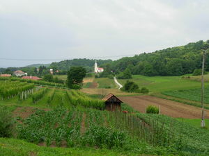 Farming landscape
