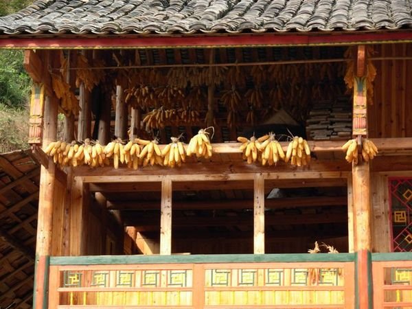 Corn Drying on Timber House