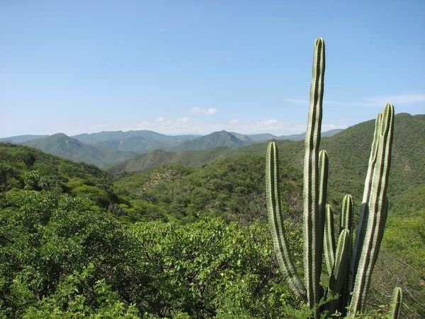 Landscape in Oaxaca state
