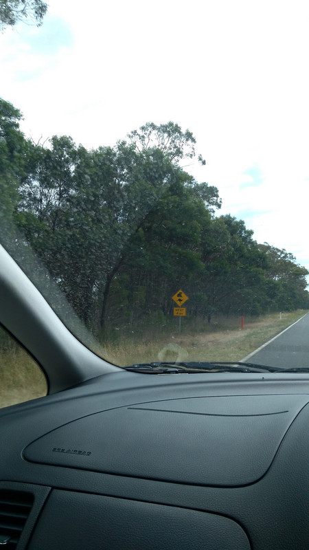 If you look closely, you can see a koala and kangaroo sign