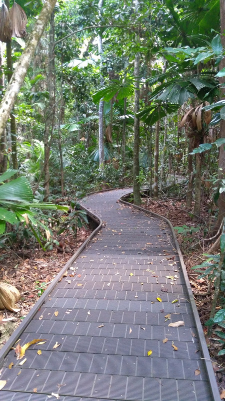 Nice walk through the rainforest!
