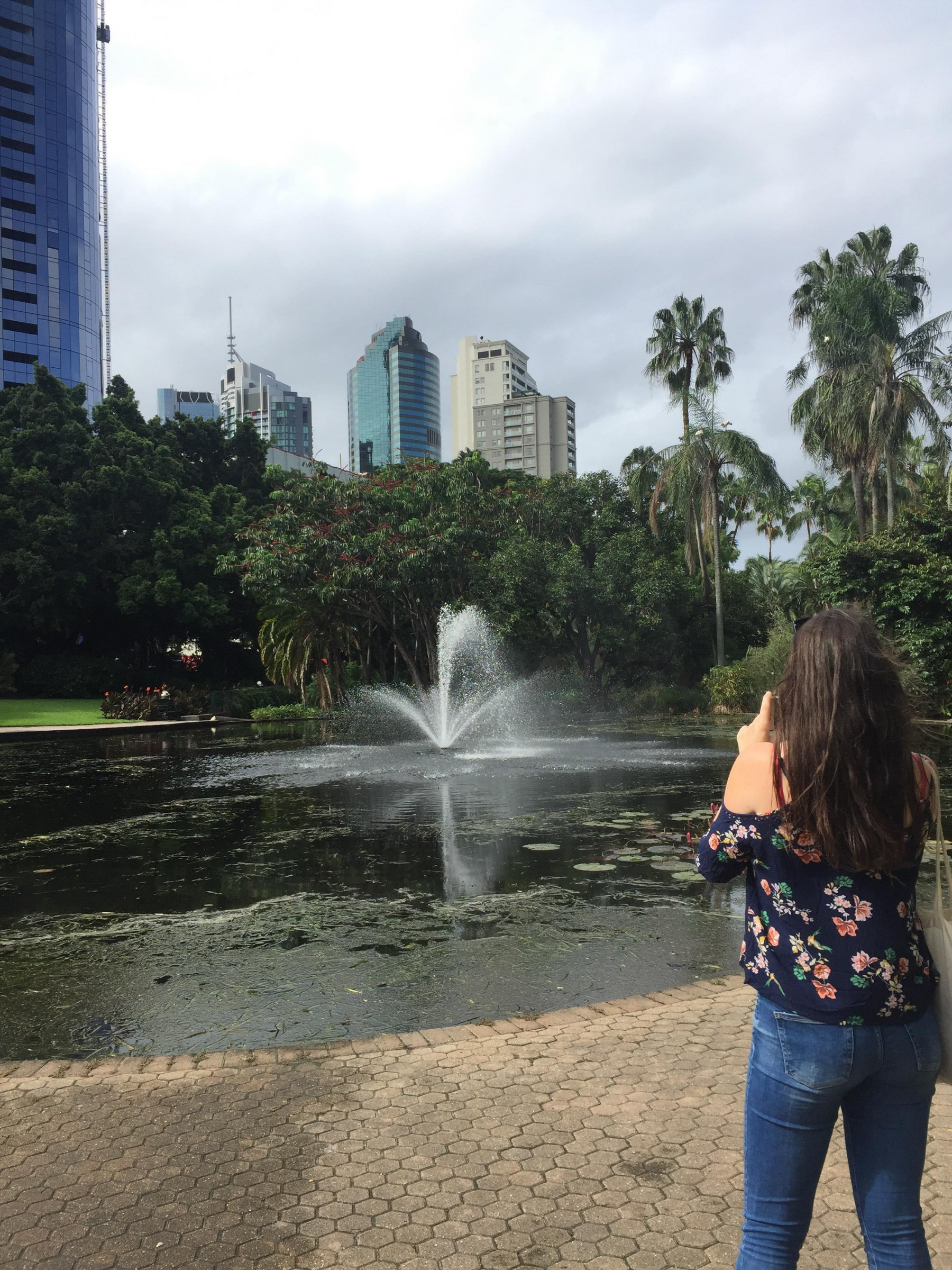 Botanical gardens Brisbane | Photo