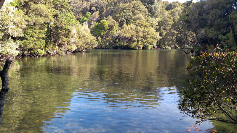 More Stewart Island beauty