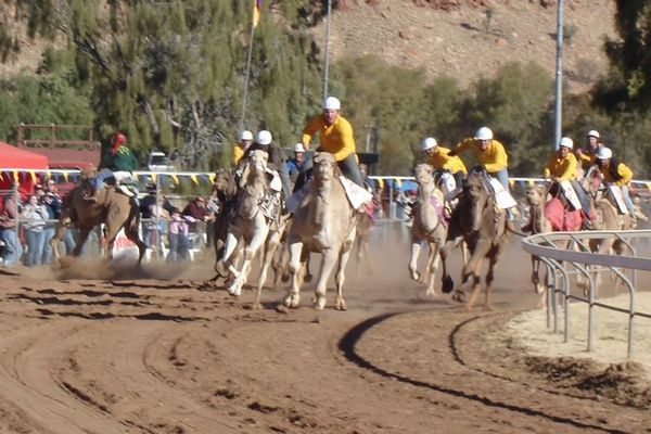 Camel races (note camel on left going backwards)