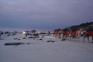 traffic jam on Cable Beach