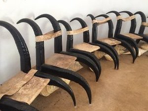 Inside the pods -chairs made of buffalo horn-the Black House 