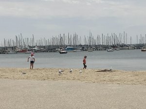 Geelong Waterfront .