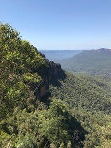 The Blue Mountains 