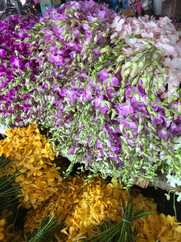 Flower Market Chiangmai 
