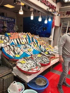 fish Market 