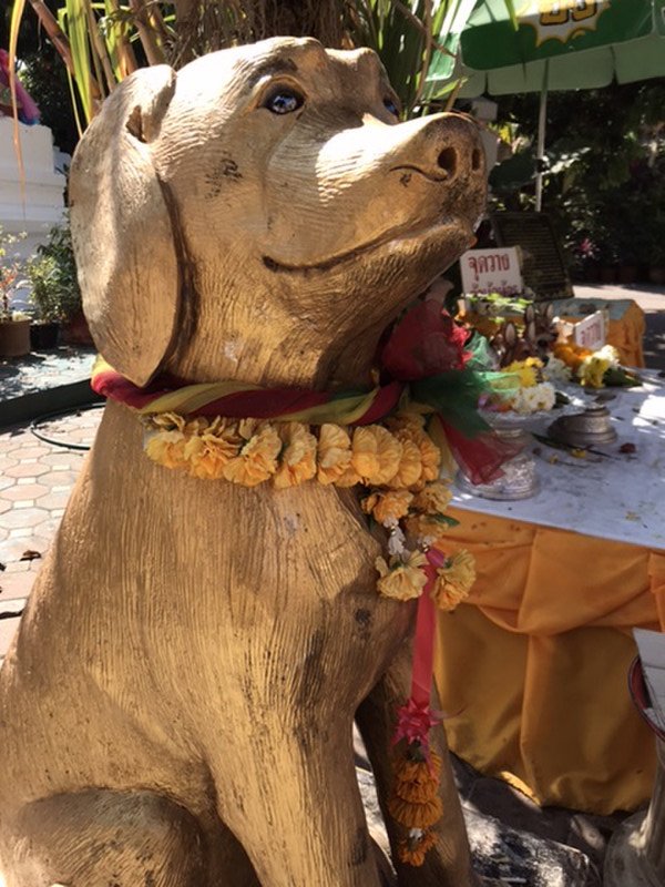 Dog temple statue 
