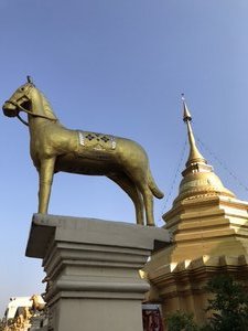 The horse temple