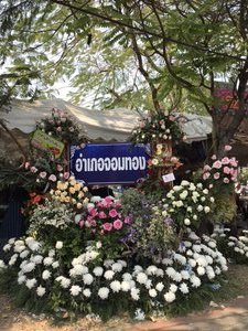 Flower festival stalls beautifully decorated .