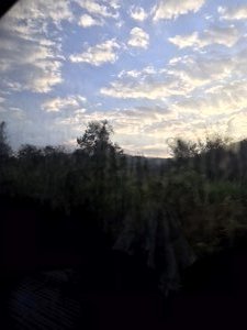 early morning on the train