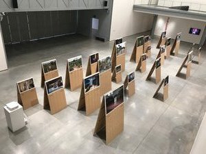 For those who died trying-Miaaim gallery 