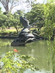 Singapore Botanical Gardens 
