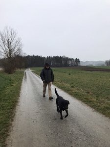 Walter and Finlay on a wet walk