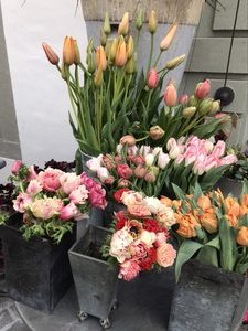 Flowers in Zug