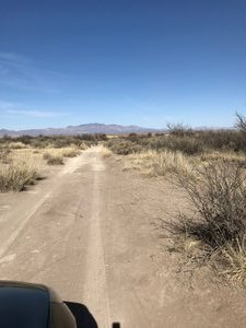 dirt road trying to find Willcox Dry Lake